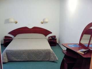 Отель Hotel Egreta Тулча Двухместный номер с 1 кроватью или 2 отдельными кроватями-6