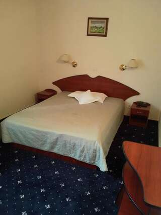 Отель Hotel Egreta Тулча Двухместный номер с 1 кроватью или 2 отдельными кроватями-19